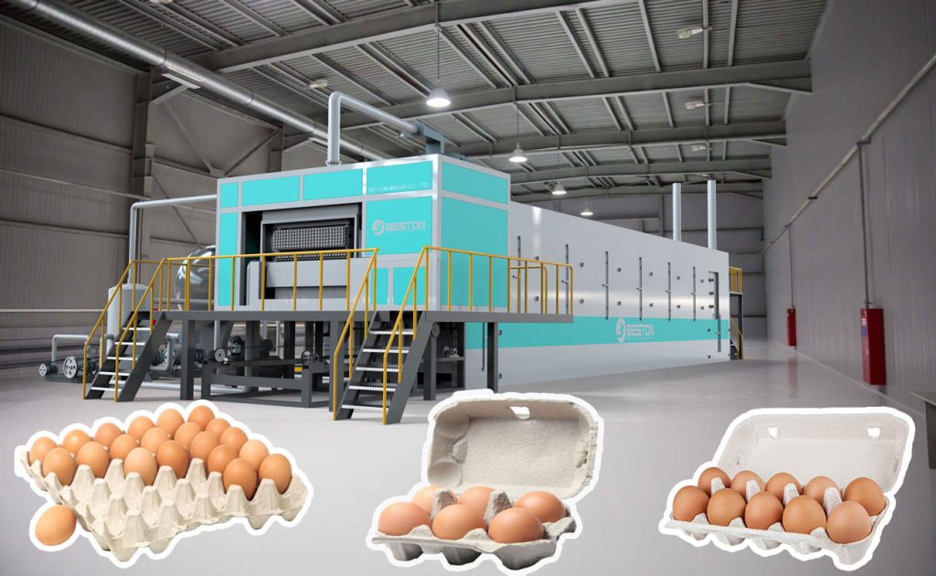 Beston Egg Tray Production Line